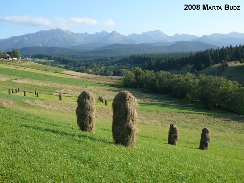 Murzasichle Panorama Lato