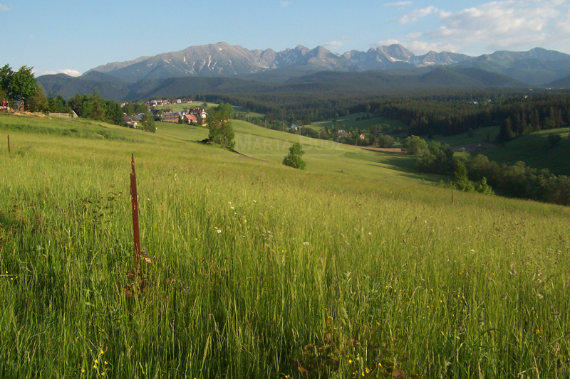 Murzasichle Panorama