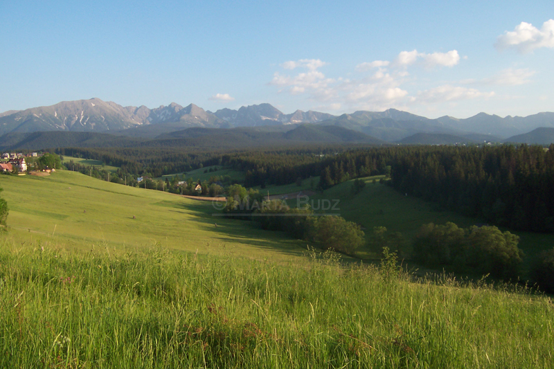 Murzasichle Panorama