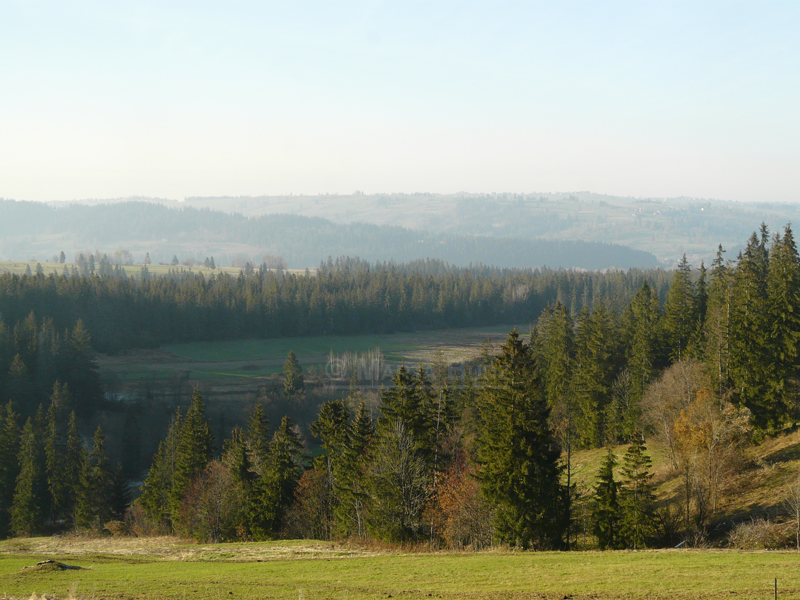 Murzasichle Panorama