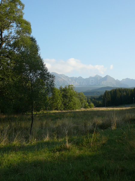 Murzasichle Panorama