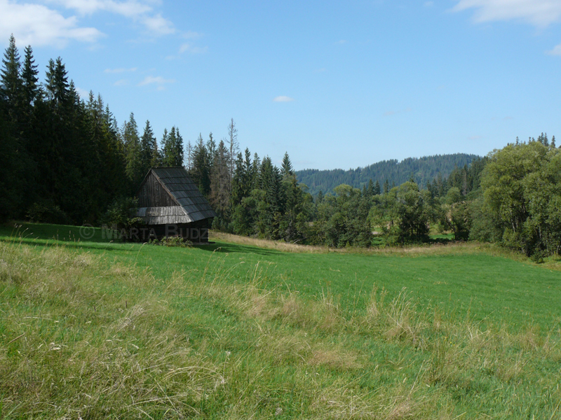 Murzasichle Panorama